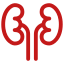 organ