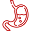 stomach